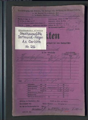 Angeklagter: Hemschenherm, Josef; Angeklagter: Hemschenherm, Bernhard: Landfriedensbruch (Plünderungen usw. in Hamm am 3.- 4.7.1919)
