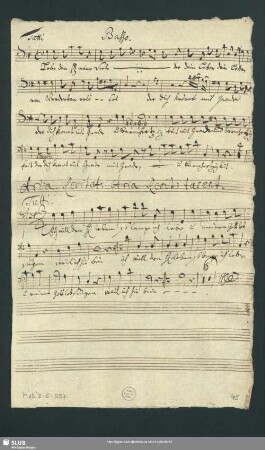 Basso. [Ripieno]