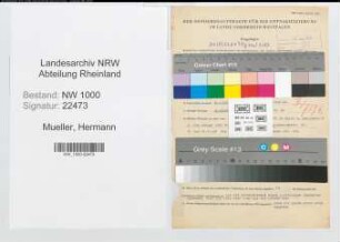 Entnazifizierung Hermann Mueller, geb. 16.03.1903 (Schreiner)