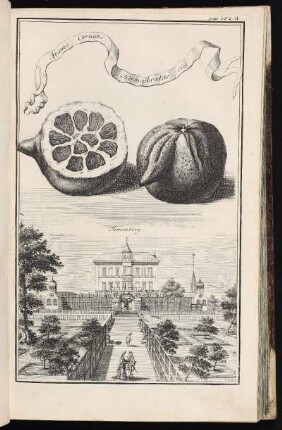 p. 192a Tumenberg. - Ehemaliger Herrensitz Thumenberg, Nürnberg-Erlenstegen