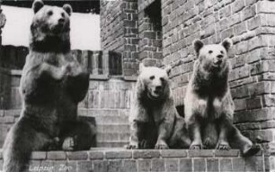 Leipzig: Zoo