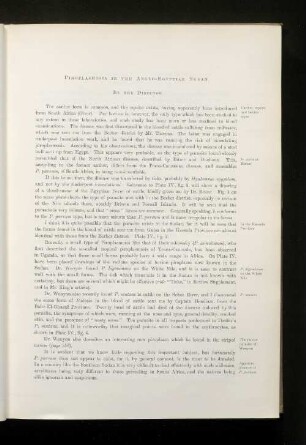 Piroplasmosis in the anglo-egyptian sudan