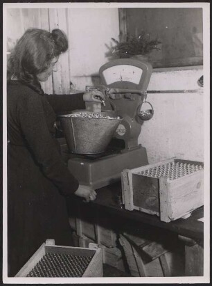 Frau beim Wiegen von Metallteilen