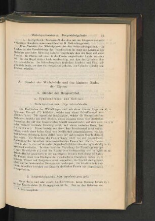 A. Bänder der Wirbelsäule und der hinteren Enden der Rippen.