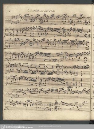 Sonata XI.