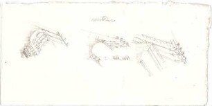 Stegmann, Carl von; Italien; Bauaufnahmen - Dächer (Details m. Schnitt)