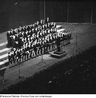 Kreuzchor