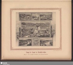Siegel & Haase in Grünhainichen, Papier- und Holzstofffabriken und Schneidemühle