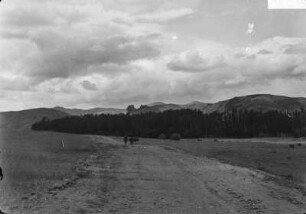 Landstraße : Eine breite Landstraße. im Hintergrund Wald und Berge