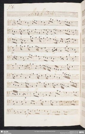 No. 6 Alfonso 