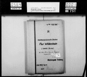 Wildenhain bei Borna (01.10.1948 zu Hagenest eingemeindet), Bd.1