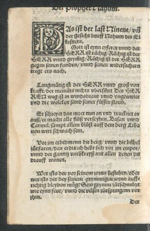 Der Prophet Nahum.