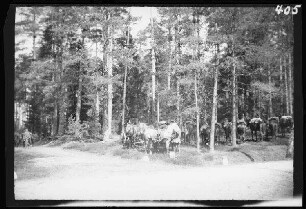 bei Schmalleningken (=Smalininkai, Litauen): Rast an einem breiten Waldweg ("Rast im Walde bei Schmalleningken")