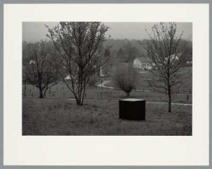 Richard Serra, Lemgo Vectors (Elevations for Walter), Lemgo