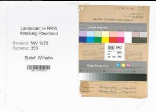 Entnazifizierung Wilhelm Steiof , geb. 25.03.1899 (Kraftfahrer)