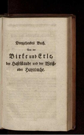 Dreyzehendes Buch.
