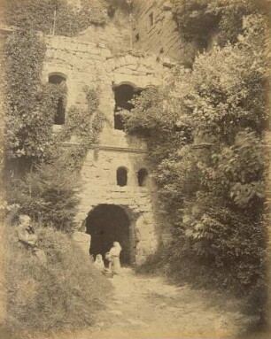 Teil der Ruine Hardenburg mit Brunnenschale und Gesträuch