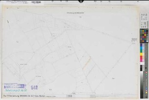 Dingden (Hamminkeln), Flurbereinigung Dingden, Bl.25 Schätzungsriß Flur 17