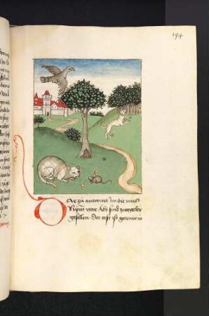 Die Katze im Netz, das die Maus zerbeißt; (Kapitel VIII: Von der Katze und der Maus)