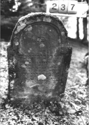 Grabstein 237 (Index: 99799951) Material: Sandstein Zustand: stark verwittert Maße HxBxT: 100x63x12 cm Beschreibung: Stele, eingezogener Stelzbogenabschluß, Schriftfeld eingetieft: Grabstein 237