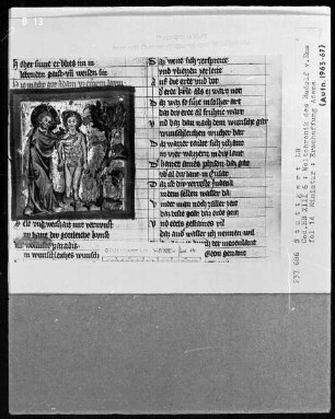 Weltchronik - Bruder Philipp — ---, Folio 1recto-256recto---, Folio 1recto-256rectoErschaffung Adams, Folio 14recto