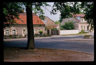Müggelheim Dorfaue 21.6.78.