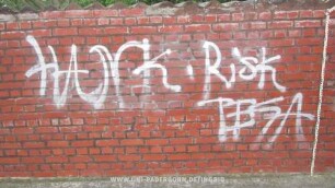 HANK RisK TESA