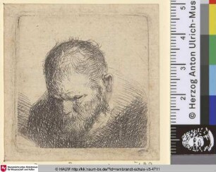 [Nach unten blickender, bärtiger Mann; Bearded Man Looking Dowm; Vieillard à tête chauve]
