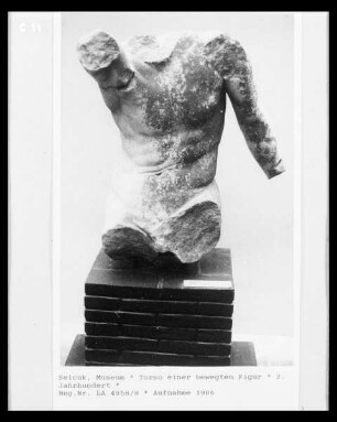 Torso eines bewegten Mannes