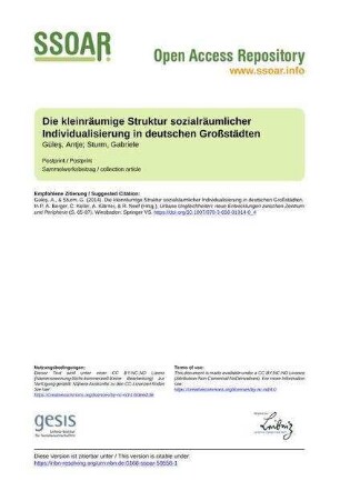 Die kleinräumige Struktur sozialräumlicher Individualisierung in deutschen Großstädten