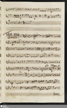 1419. Aria: Cara voce del mio bene / Anonymus