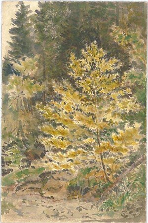 Neureuther, Lorenz; Landschaftskizzen - Wald (Ansicht)