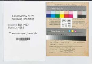 Entnazifizierung Heinrich Tuemmermann , geb. 30.12.1908 (Tierarzt)