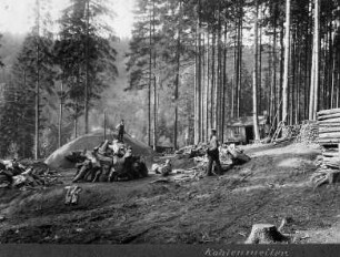 Kohlenmeiler : Standort gegenüber vom Sommerstein, in der Nähe führt der Meilerweg vorbei