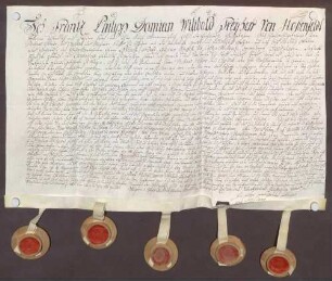 Instrumentum cautionis des Franz Philipp von Hohenfeld.