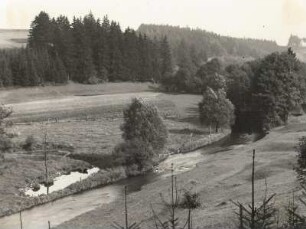Triebtal bei Altensalz, Salzwassertümpel (li."Salzbrunnen"= künstl. Aufschluß der Saline im 17. Jh. u. Standort des ehem. Hauptschachtes mit den Pumpen)