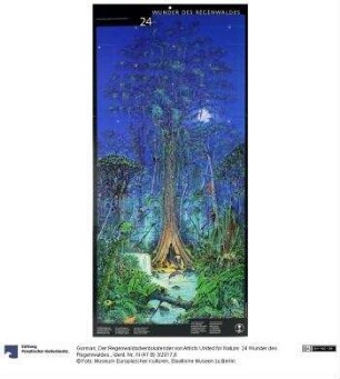 Der Regenwaldadventskalender von Artists United for Nature. 24 Wunder des Regenwaldes.