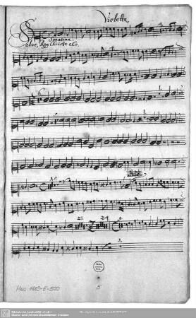 Violetta.
