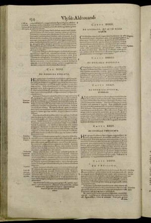 Caput XXXVI. De Umbilico.