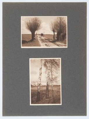 Referenzmappe 3/17 des Fotografen Walter Möbius : Mappenblatt 75 mit zwei Fotografien (Lausitzer Teichgebiet bei Weissig (heute Wysokie / Polen) und Birken an den Königswarthaer Teichen)