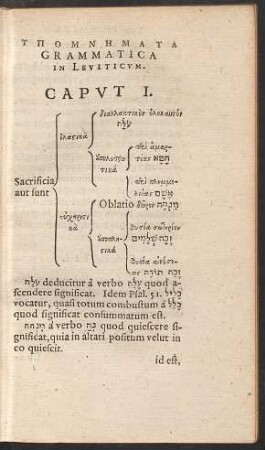 Ypomnēmata Grammatica In Leviticum.