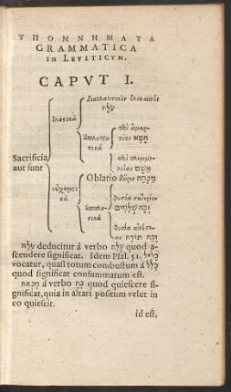 Ypomnēmata Grammatica In Leviticum.