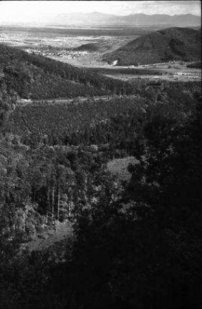 Trois Épis: Fernblick von der Straße nach Dreiähren, auf Rheintal und Schwarzwald