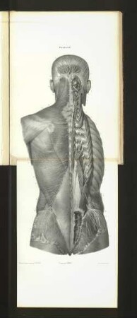 Pl. 66 et 67.