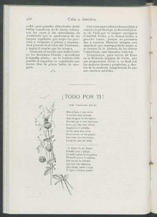 ¡Todo por ti! [Poesía]
