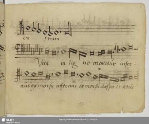 [Senfl, Ludwig:] Vita in ligno moritur