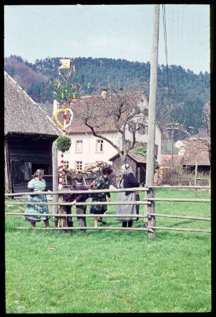 Aufstellen eines Palmen an Palmsonntag