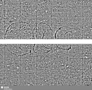 Tre lune / BT (gekrönt) = S.1/4