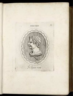 Fauno