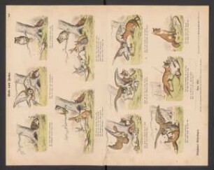 Eule und Fuchs